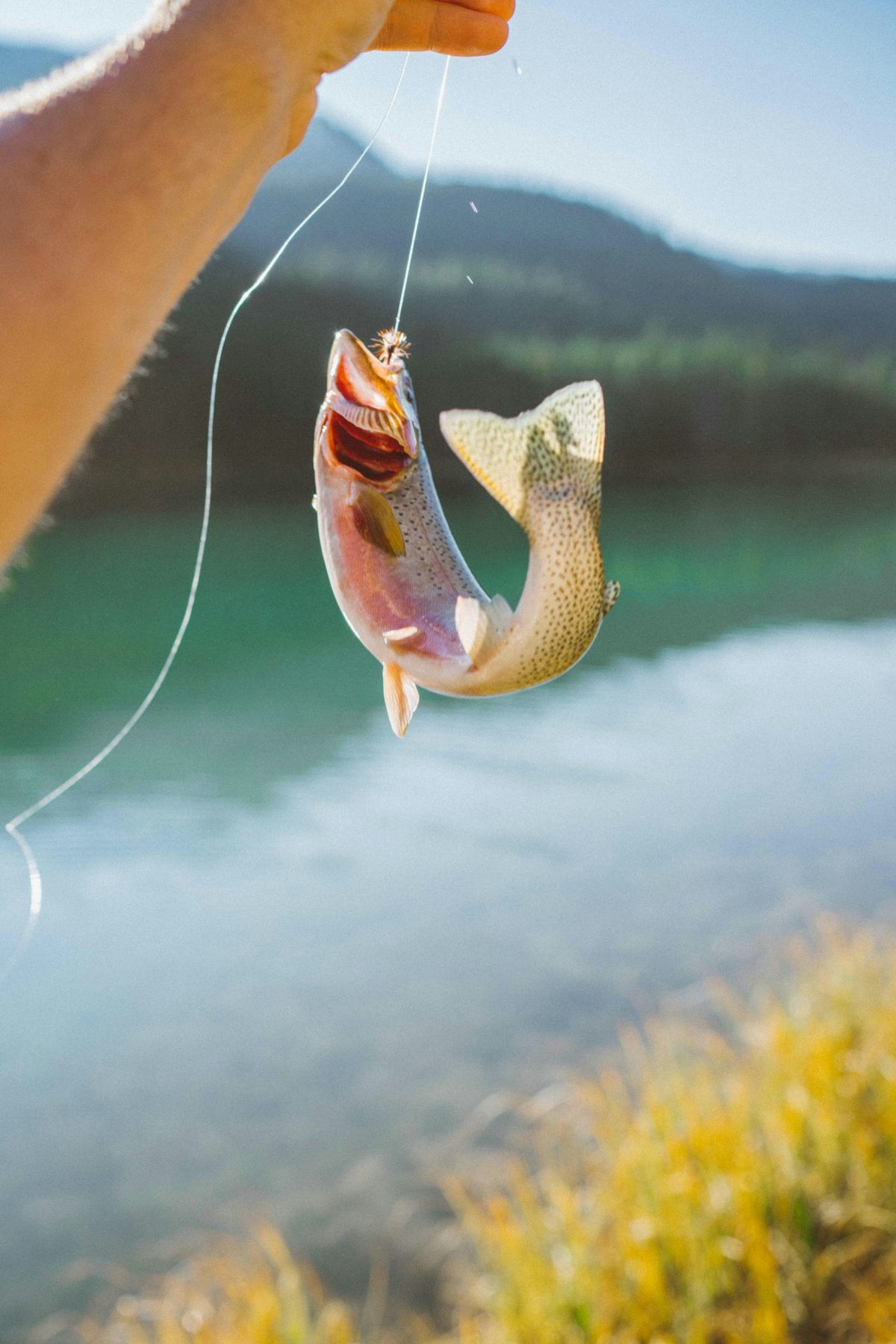 Débuter la pêche au Québec : tout ce que ça te prend pour ta première sortie