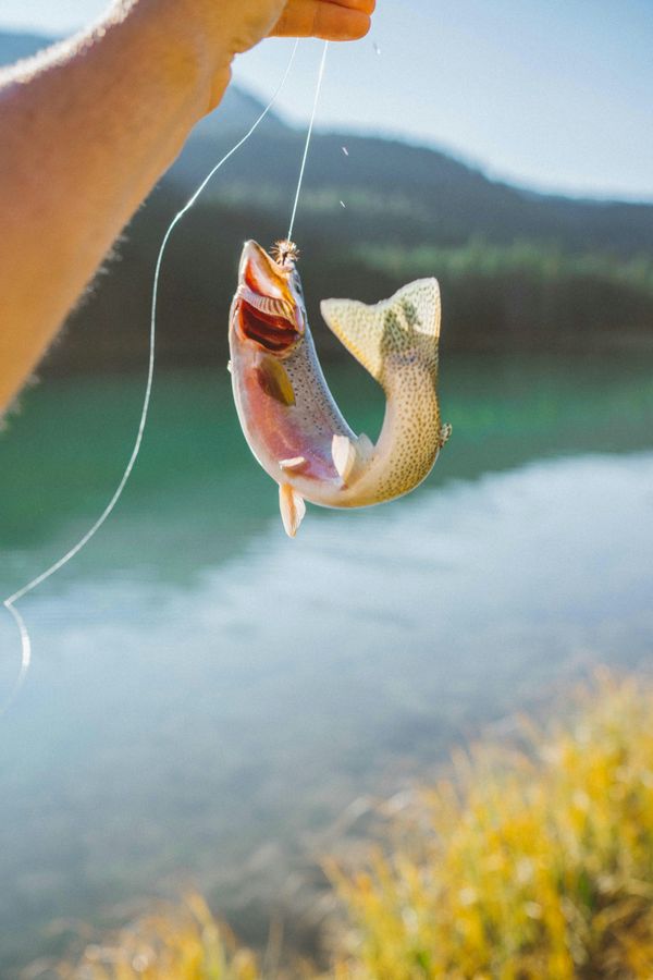 How to Start Fishing in Quebec: Everything for Your First Trip