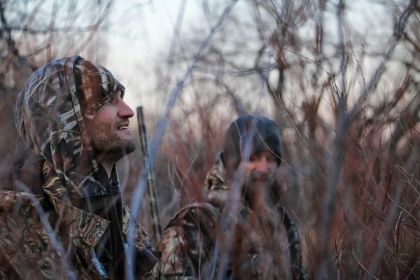 The Quebec Hunter's Certificate: How to Get It (and What Changed April 1, 2026)