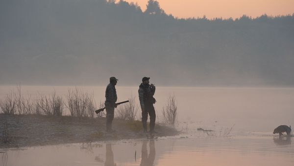 Quebec Hunting and Fishing Seasons by Species (2026 Calendar)