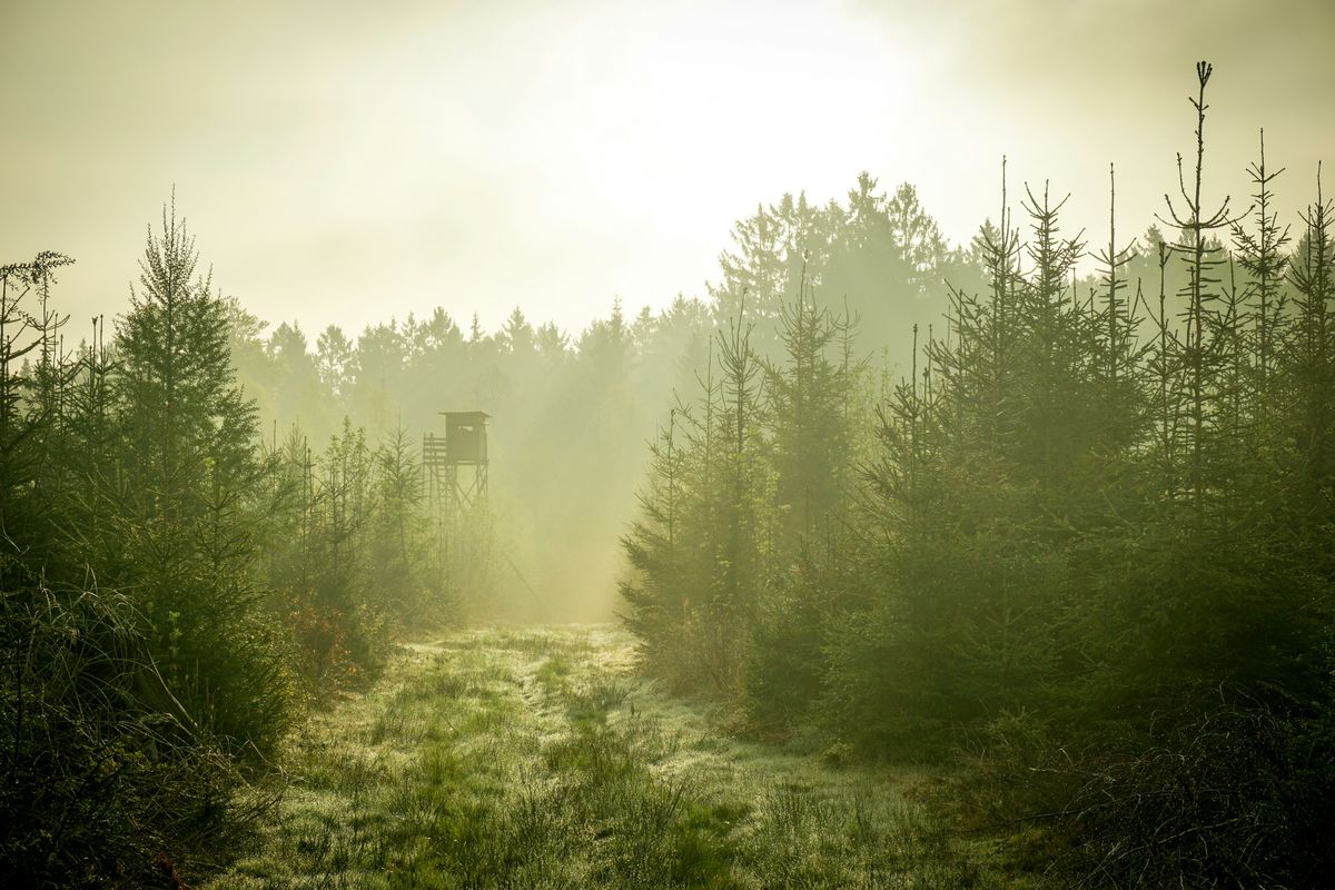 Where to Hunt and Fish in Quebec: Outfitters, ZECs, and Wildlife Reserves
