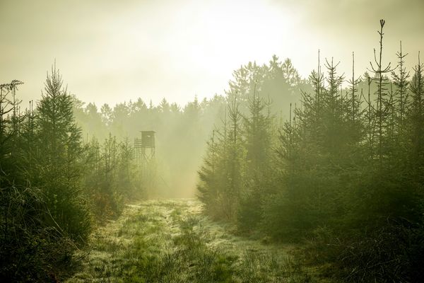 Where to Hunt and Fish in Quebec: Outfitters, ZECs, and Wildlife Reserves