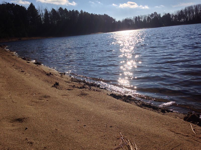 Domaine Pine Grove — photo 5