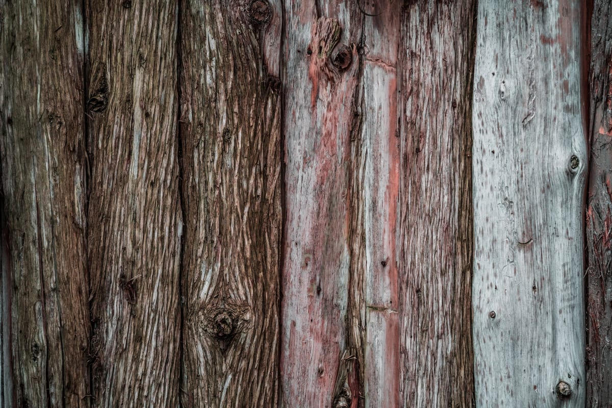 Pourvoirie Escapade — photo 3