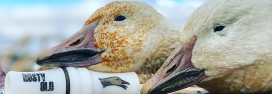 Pourvoirie Destination le Mirage — photo 2
