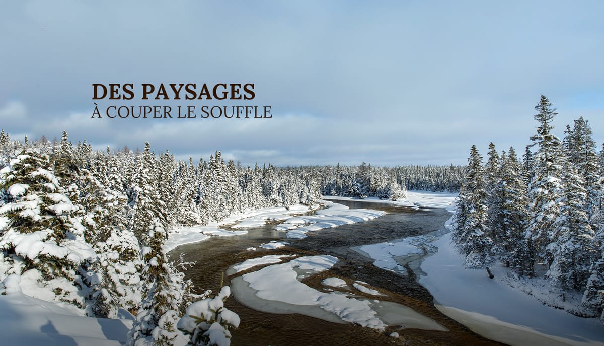 Safari Anticosti — photo 3