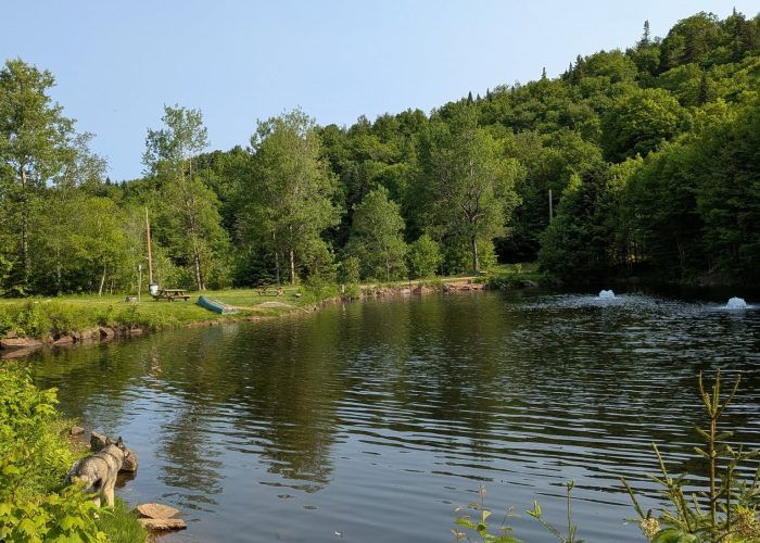 Pourvoirie du Lac-Beauport — photo 3