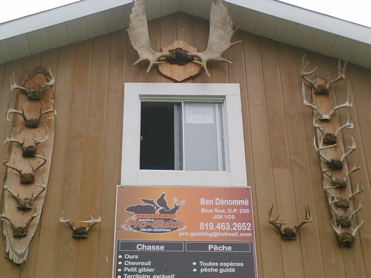 Aventure Pro-Guide Haute-Gatineau — photo 3