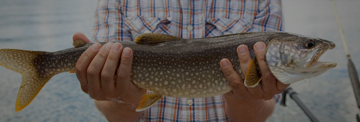 Club de Chasse et Pêche Tadoussac — photo 2