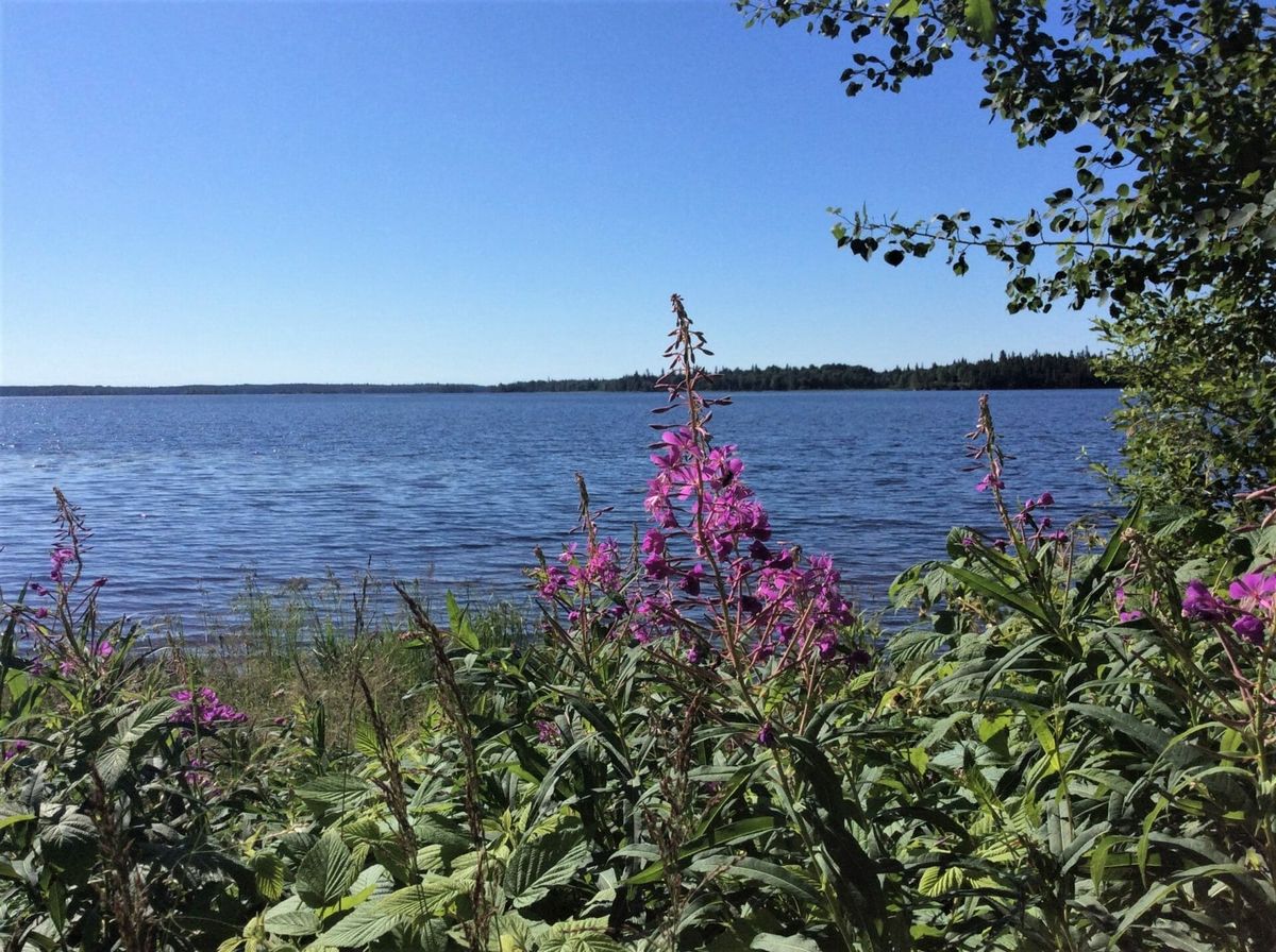 Pourvoirie du Nord (Baie Carrière) — photo 4