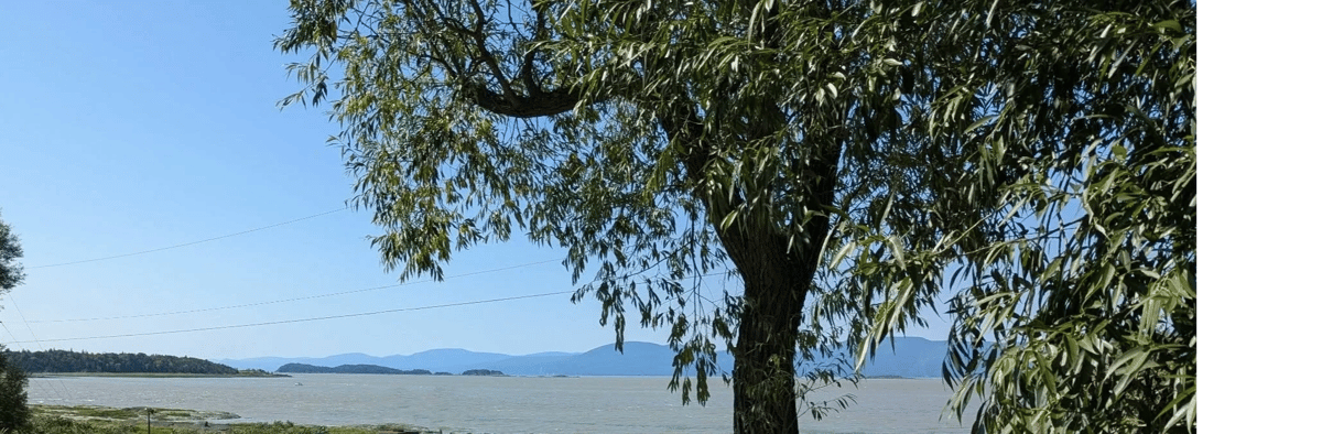 Auberge-Pourvoirie Isle-aux-Grues — photo 1
