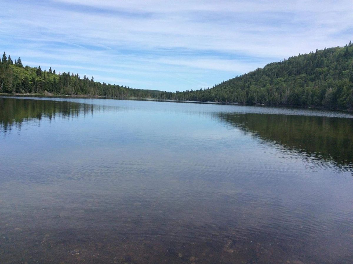 L'Association des Amis de la Forêt du Lac Anais — photo 2