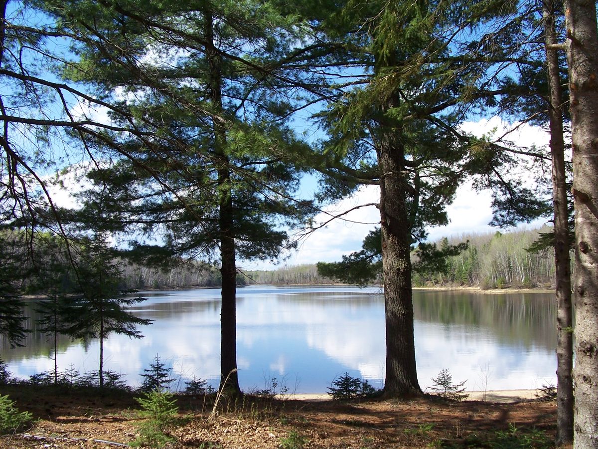 Domaine Pine Grove — photo 4