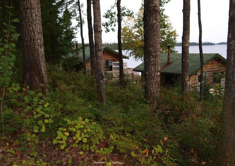 Pourvoirie du Lac Obatogamau — photo 1