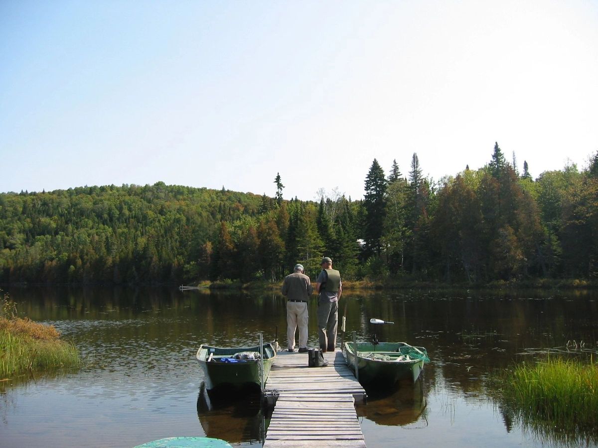 L'Association des Amis de la Forêt du Lac Anais — photo 5