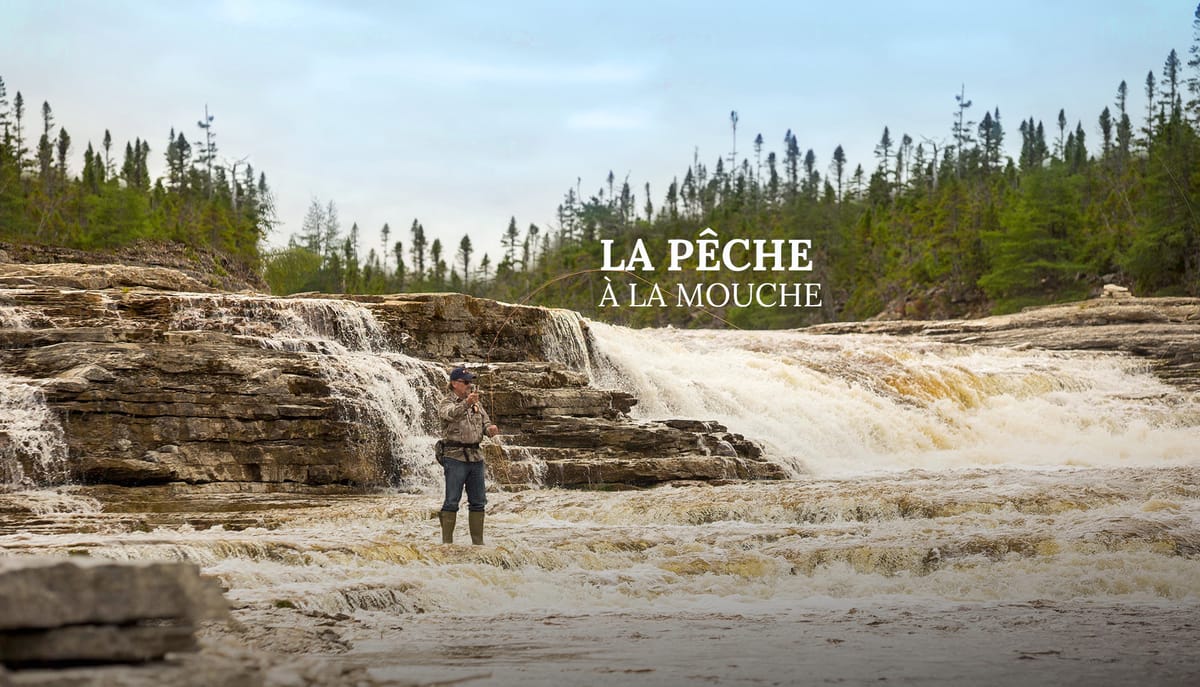 Safari Anticosti — photo 1