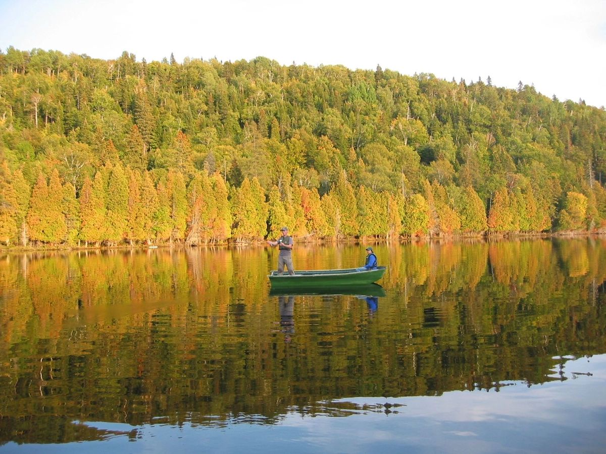 L'Association des Amis de la Forêt du Lac Anais — photo 4