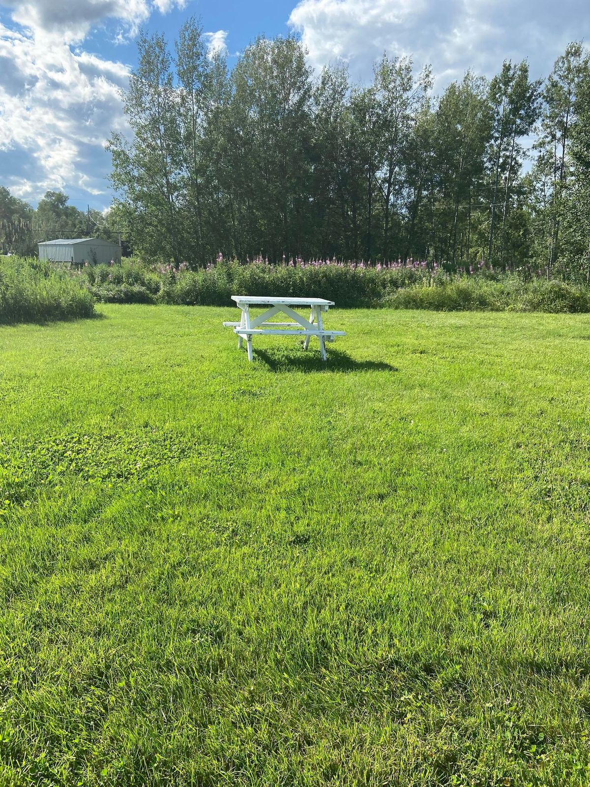 Pourvoirie B. Doré — photo 3