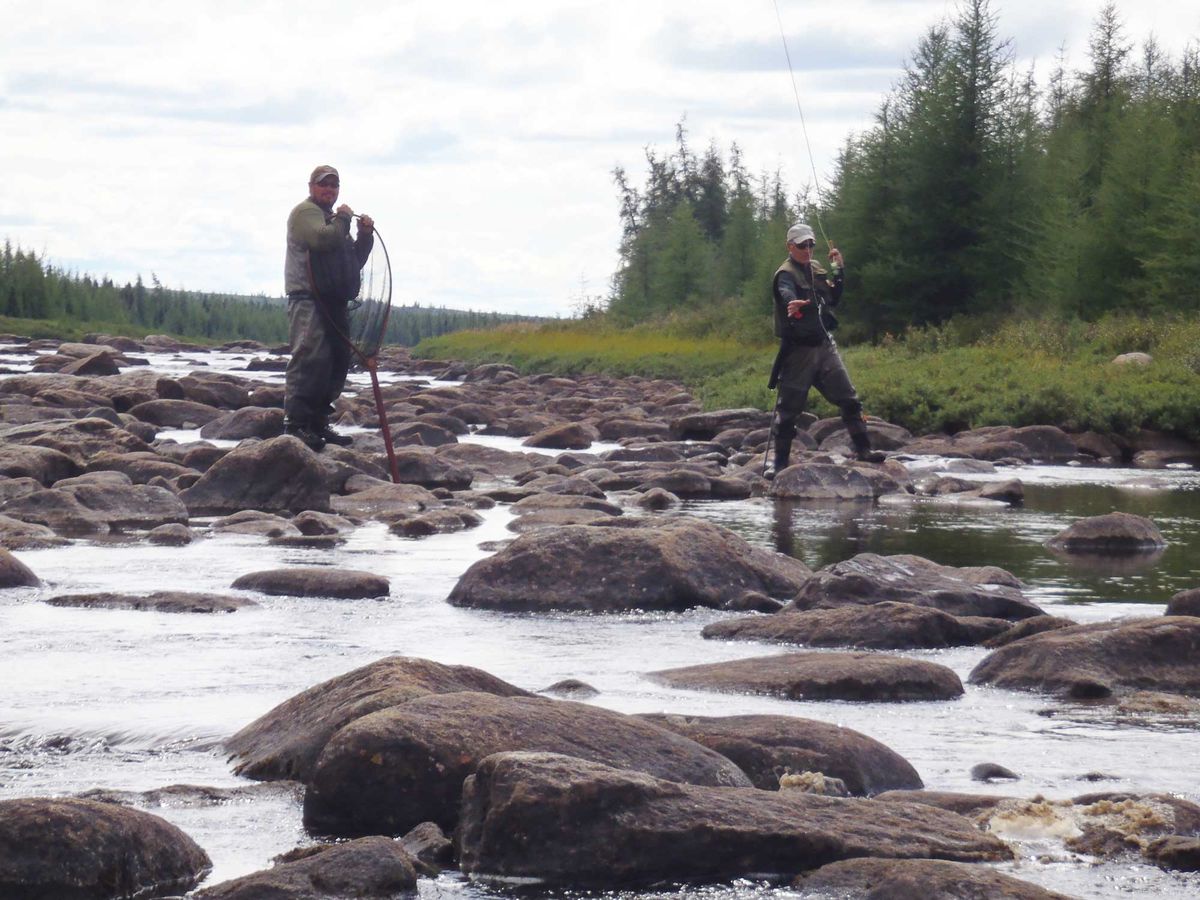 Pourvoyeurs de la Rivière Delay — photo 5