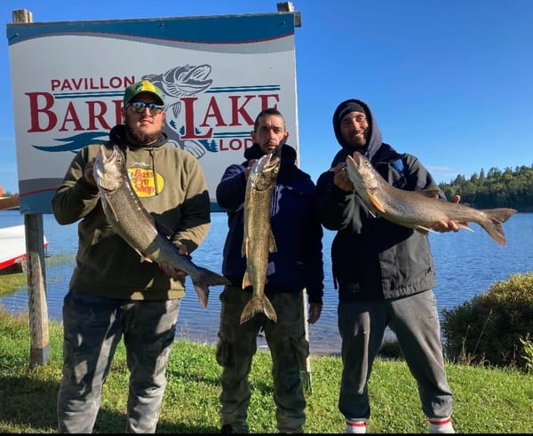 Photo — Pavillon Bark Lake Lodge