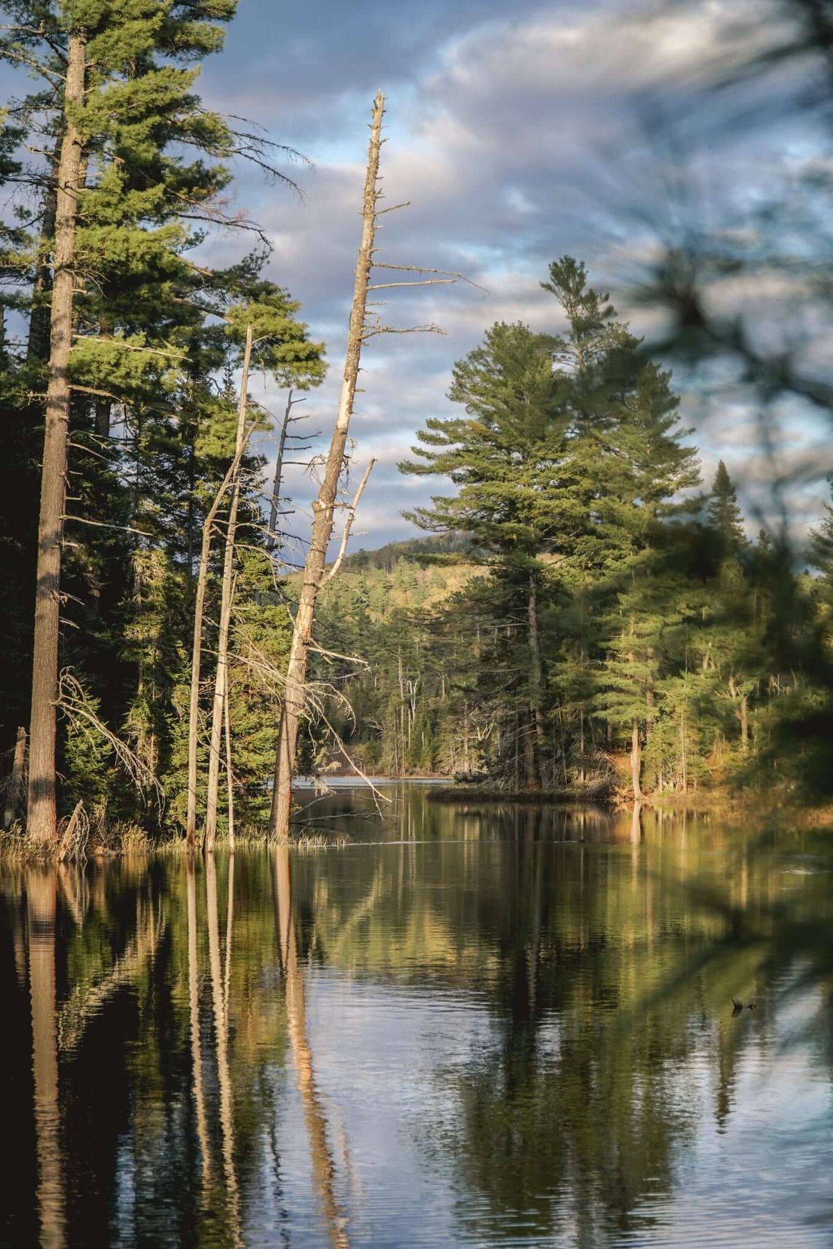 Les Gîtes Dumoine Nature — photo 2