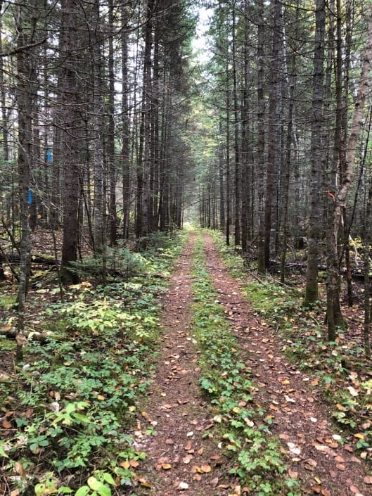 Pourvoirie Lac Dumoulin — photo 4