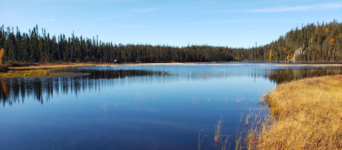 Pourvoirie du Lac Dionne — photo 5