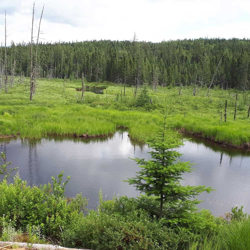Pourvoirie du Lac Choquette — photo 5