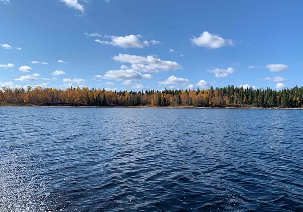 Photo — Pourvoirie la Pointe aux Dorés