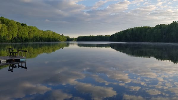 Photo — Domaine Pine Grove
