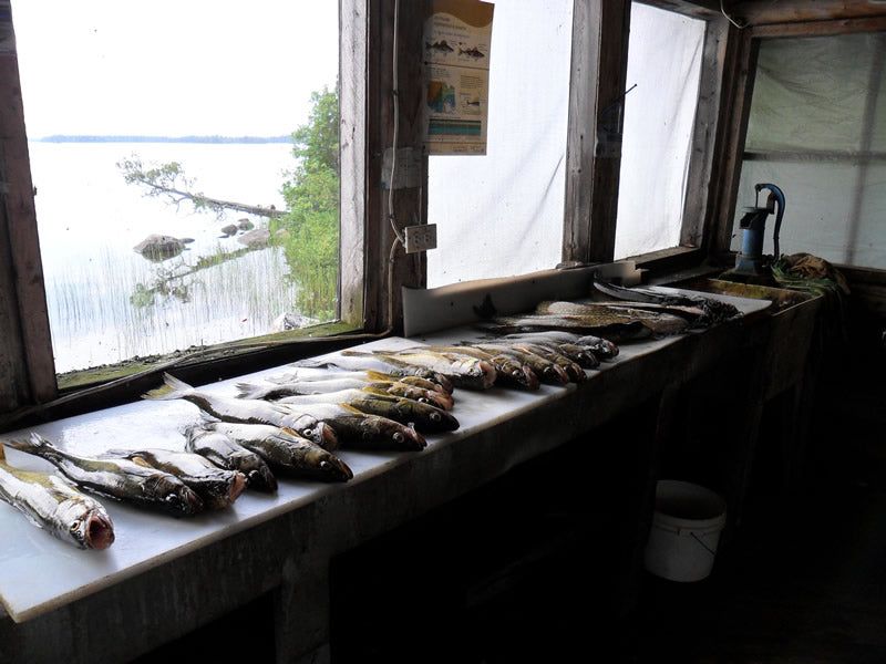 Pourvoirie du Lac Obatogamau — photo 5