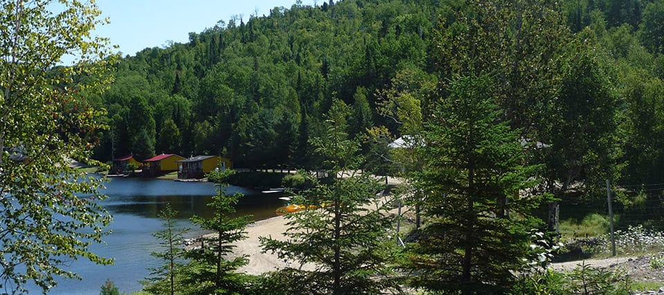 Le Domaine du Shamrock — photo 2