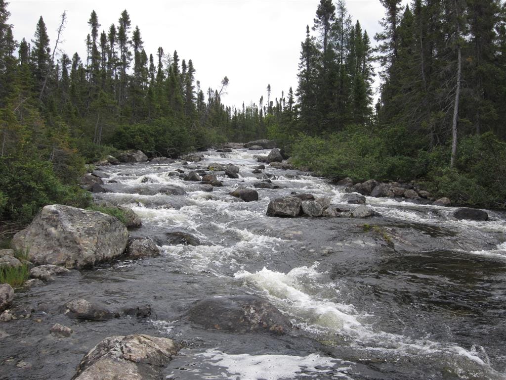 Club de Pêche du Lac la Justone — photo 5