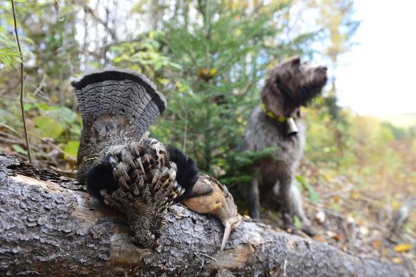 Photo — Pourvoirie Inukshuk
