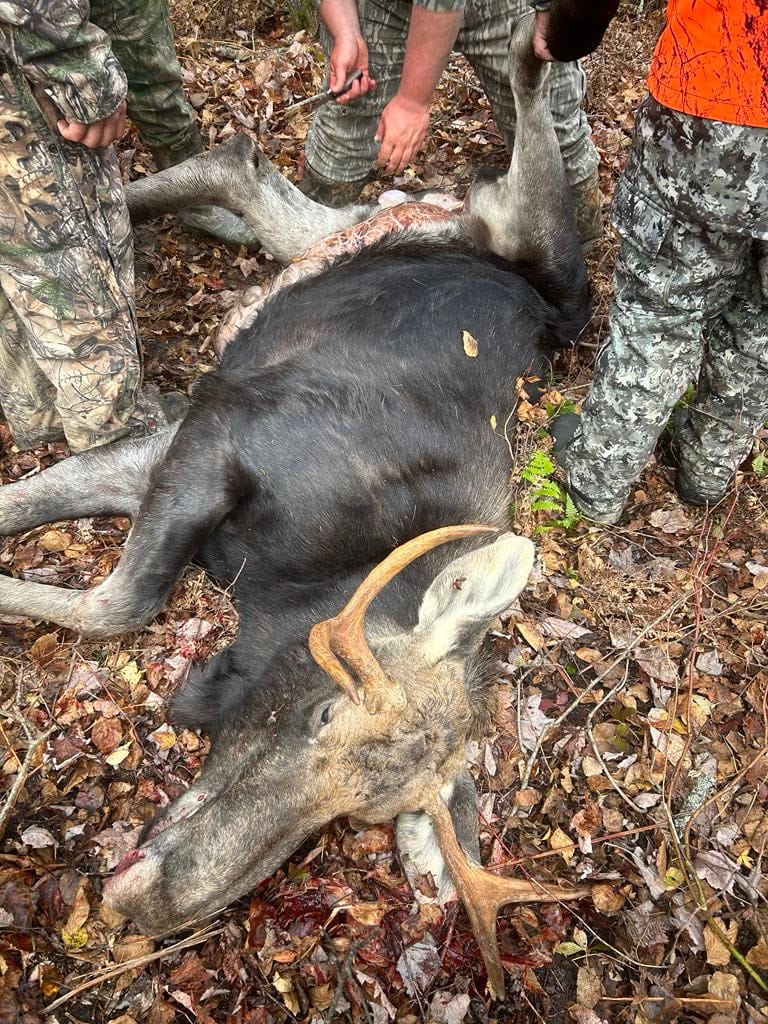 Pourvoirie le Rêve du Chasseur Octave Ferland — photo 2