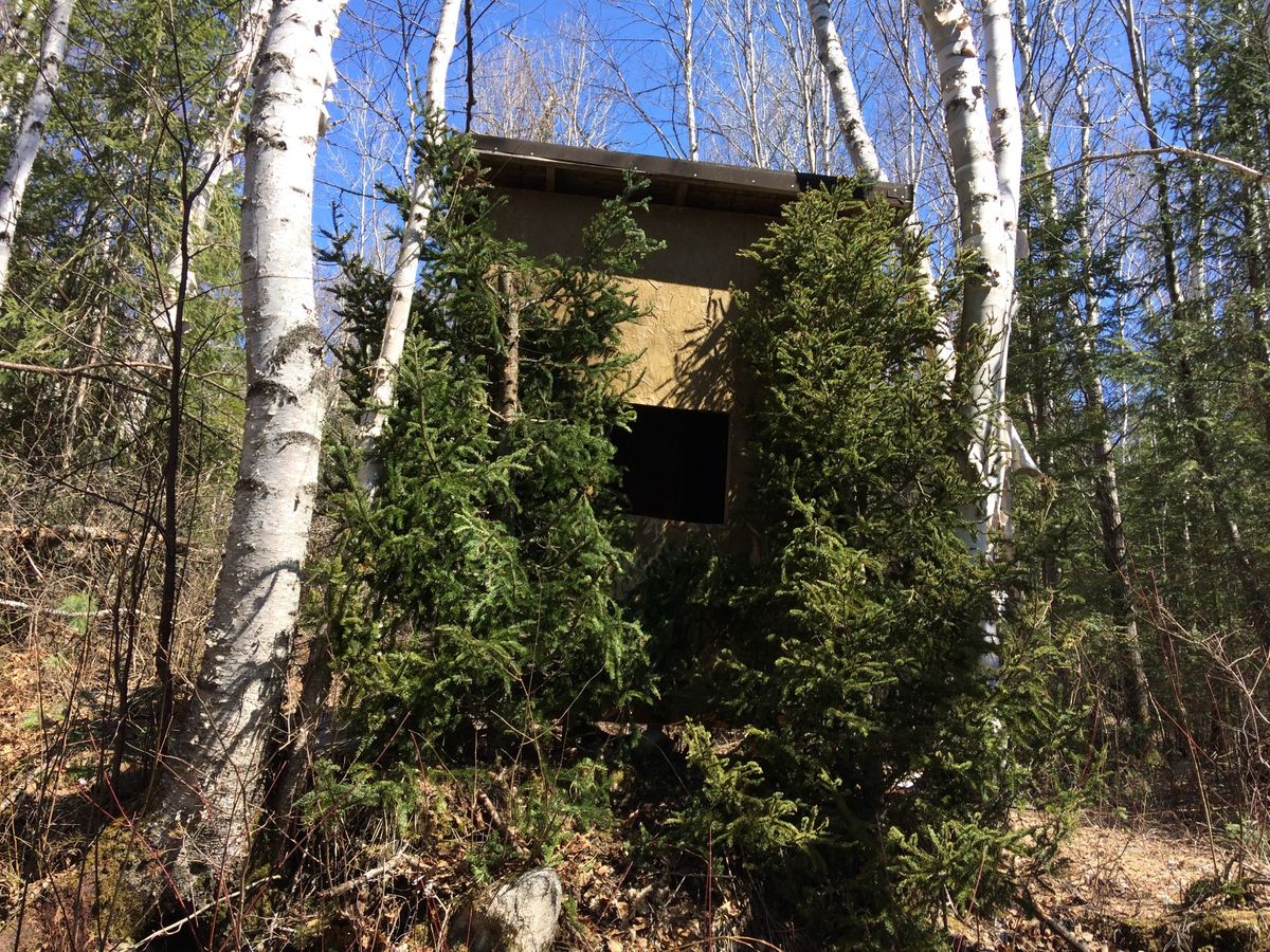 Pourvoirie Pavillon la Vérendrye — photo 4