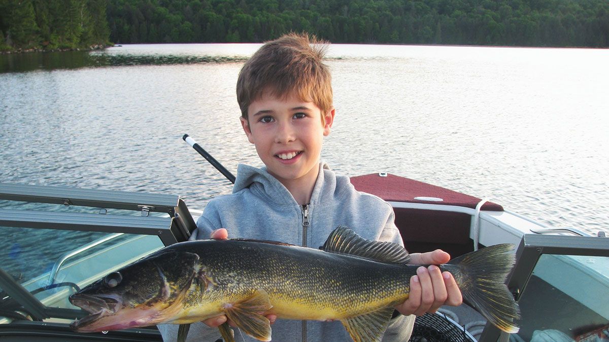 Beauchêne Wilderness Lodge — photo 2