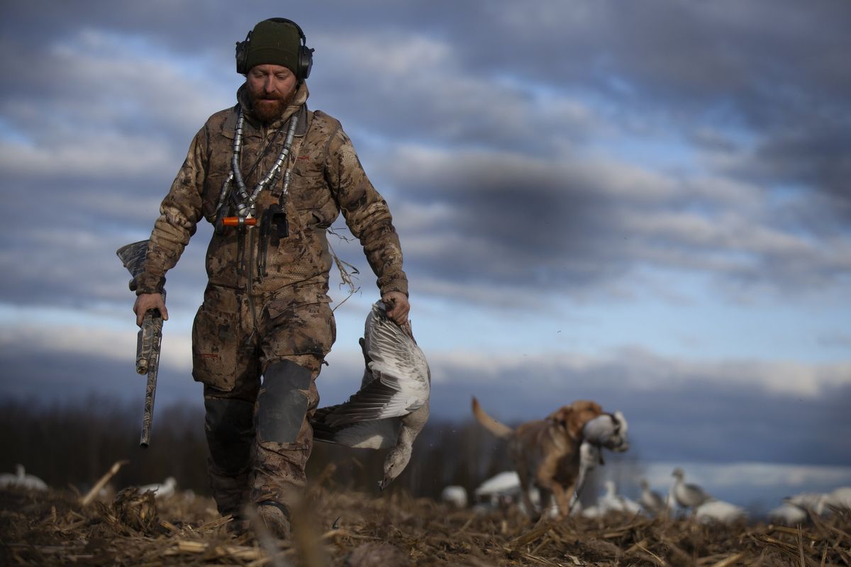 Pourvoirie le Goose Shack Outfitters — photo 4