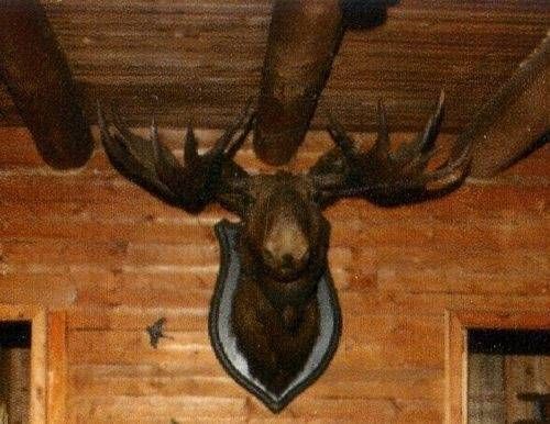 Centre du Pourvoyeur Mastigouche — photo 5